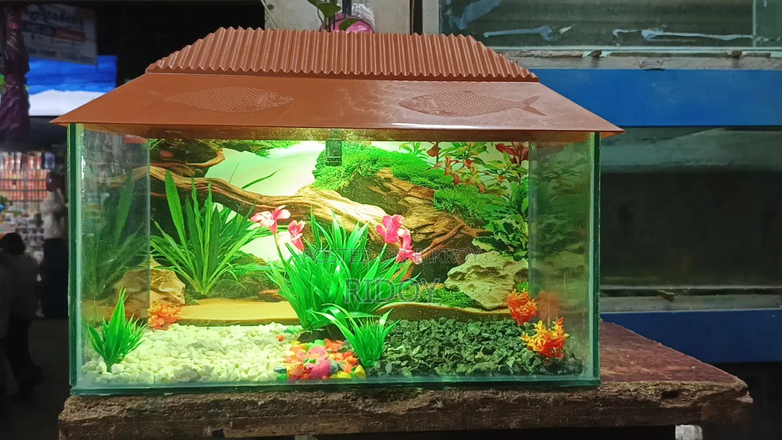 ১.৫ ফিটের নতুন একুরিয়াম