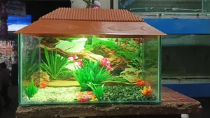 ১.৫ ফিটের নতুন একুরিয়াম