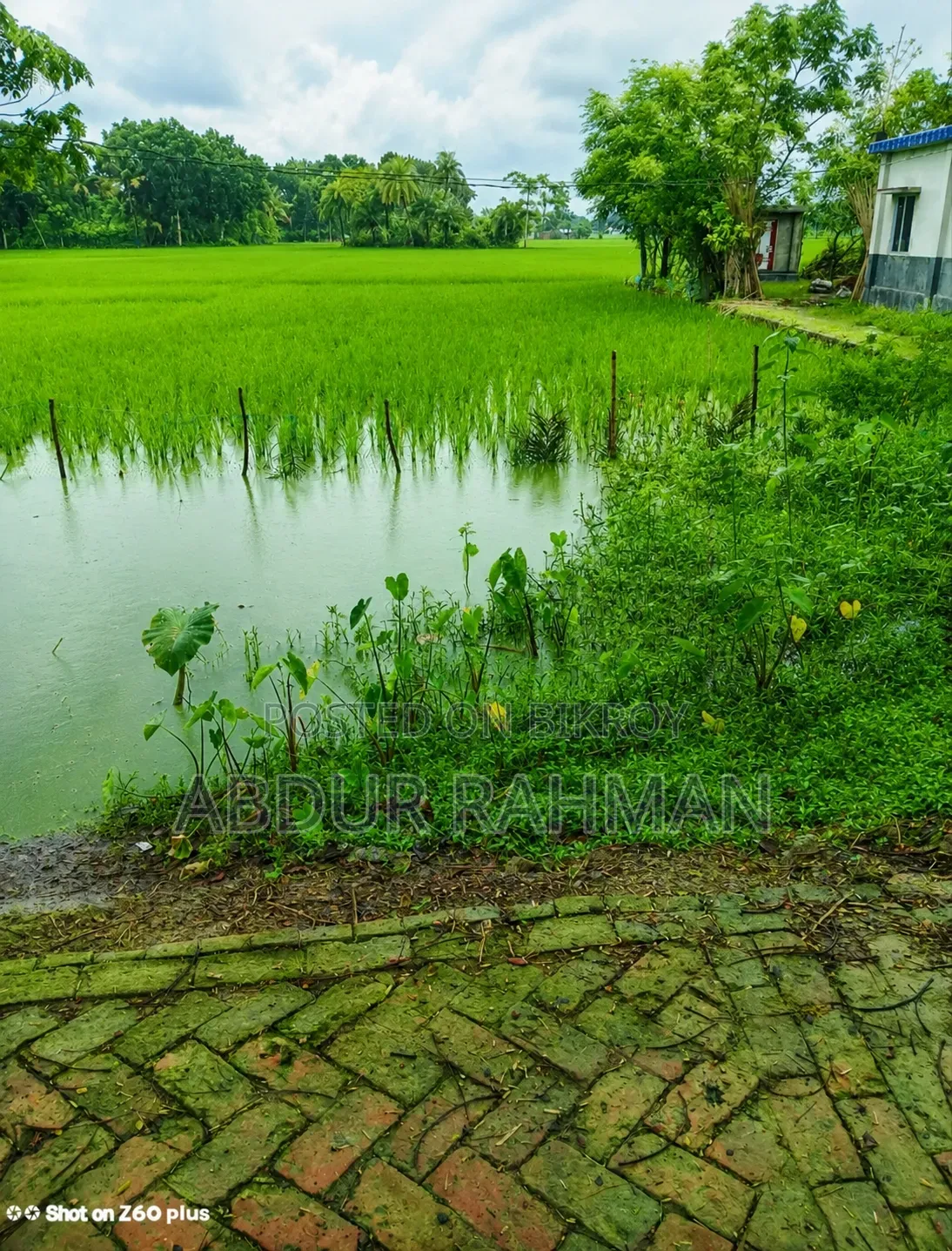 ১৬ শতাংশ জমি বিক্রয় হইবে রাস্তার পাশে