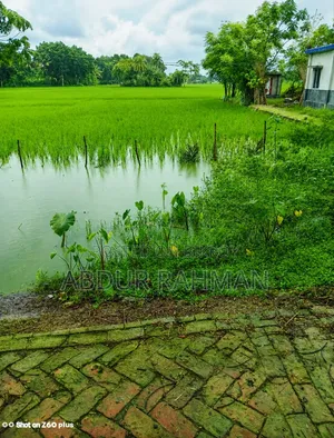 ১৬ শতাংশ জমি বিক্রয় হইবে রাস্তার পাশে