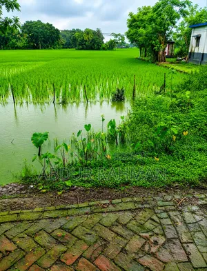 ১৬ শতাংশ জমি বিক্রয় হইবে রাস্তার পাশে