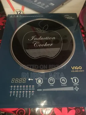 ইনডাকশন চুলা