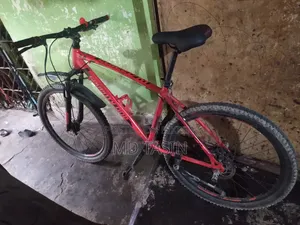 Bajaj 2024 Red