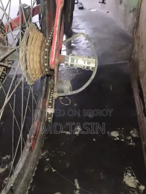 Bajaj 2024 Red