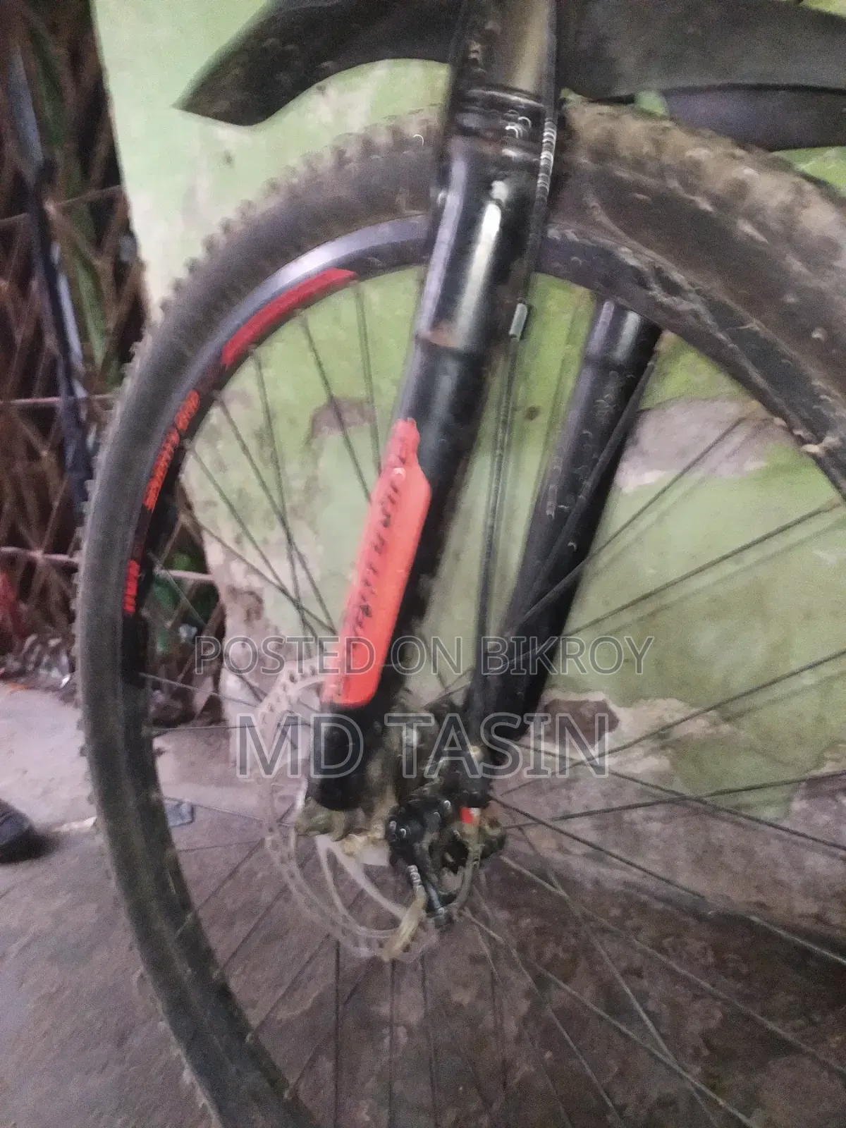 Bajaj 2024 Red