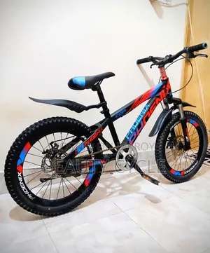 Phoenix 20" Cycle. For children aged 8 to 12 years.