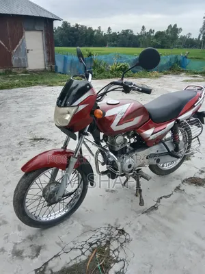 বাজাজ সিটি ১০০ ২০১৪ রেড