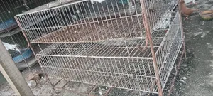 কয়েল পাখির খাচা