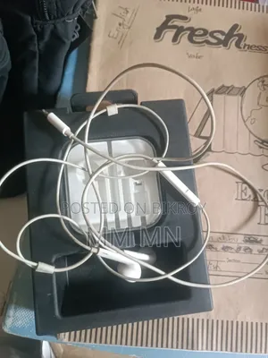 iPhone Earphone Apple