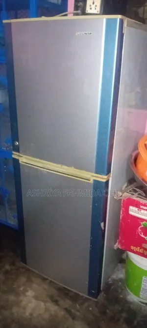 Electra Classic 2 Door Frost Fridge 100% Fresh