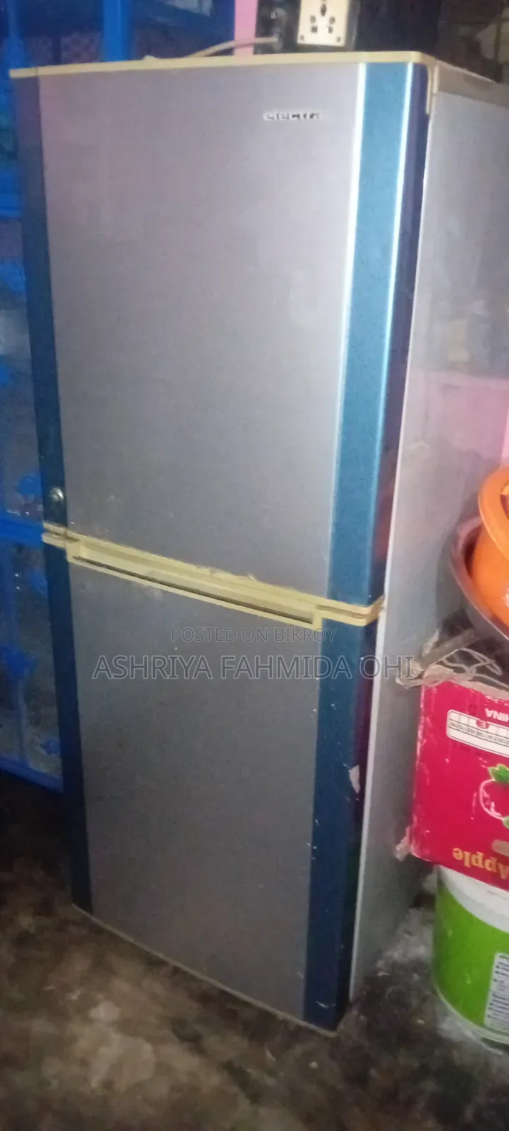 Electra Classic 2 Door Frost Fridge 100% Fresh