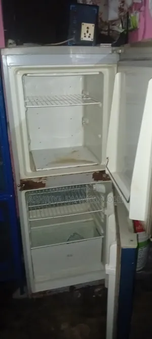 Electra Classic 2 Door Frost Fridge 100% Fresh