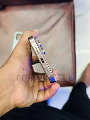 Apple iPhone 16 Pro Max 256 GB Silver