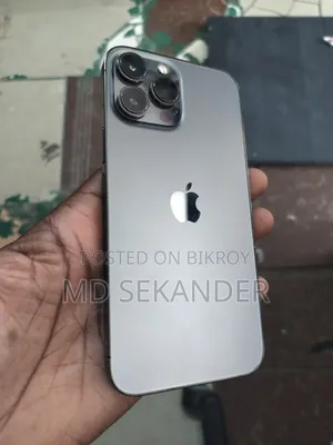 Apple iPhone 13 Pro Max 256 GB Gray