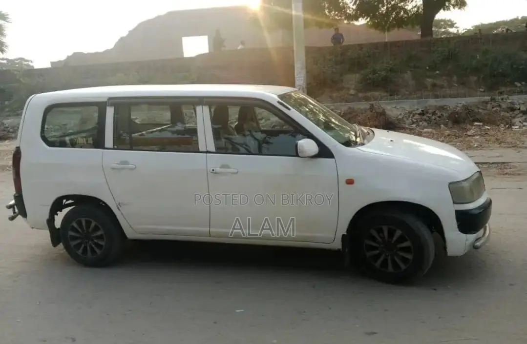 Toyota Probox 2004 Pearl