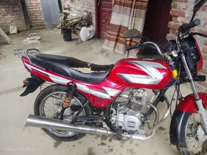বাজাজ সিটি ১০০ ২০১৫ লাল