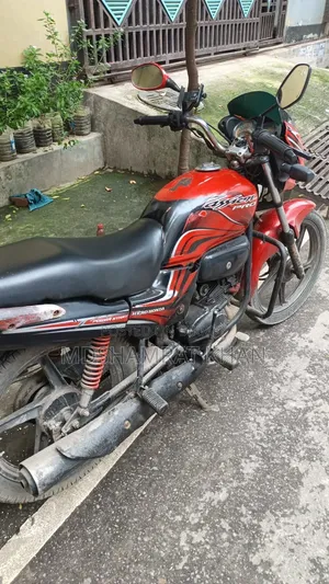 Hero Passion Pro 2010 Red