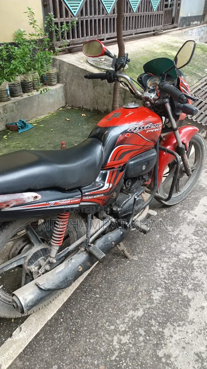 Hero Passion Pro 2010 Red
