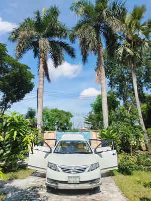 Toyota Allion 2008 Pearl