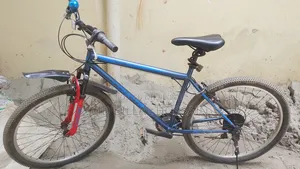 Coyote Bicycle