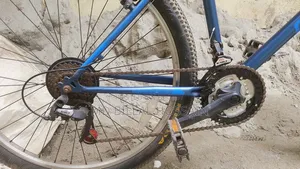 Coyote Bicycle