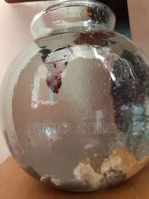 With Small Round Aquarium