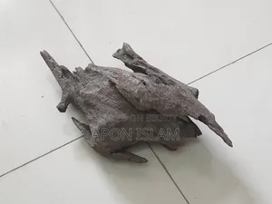 Bog-Wood বগ উট