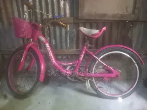 অল্প ব্যবহৃত হিরো রেপাঞ্জল পিঙ্ক সাইকেল বিক্রি হবে - ভালো অবস্থা