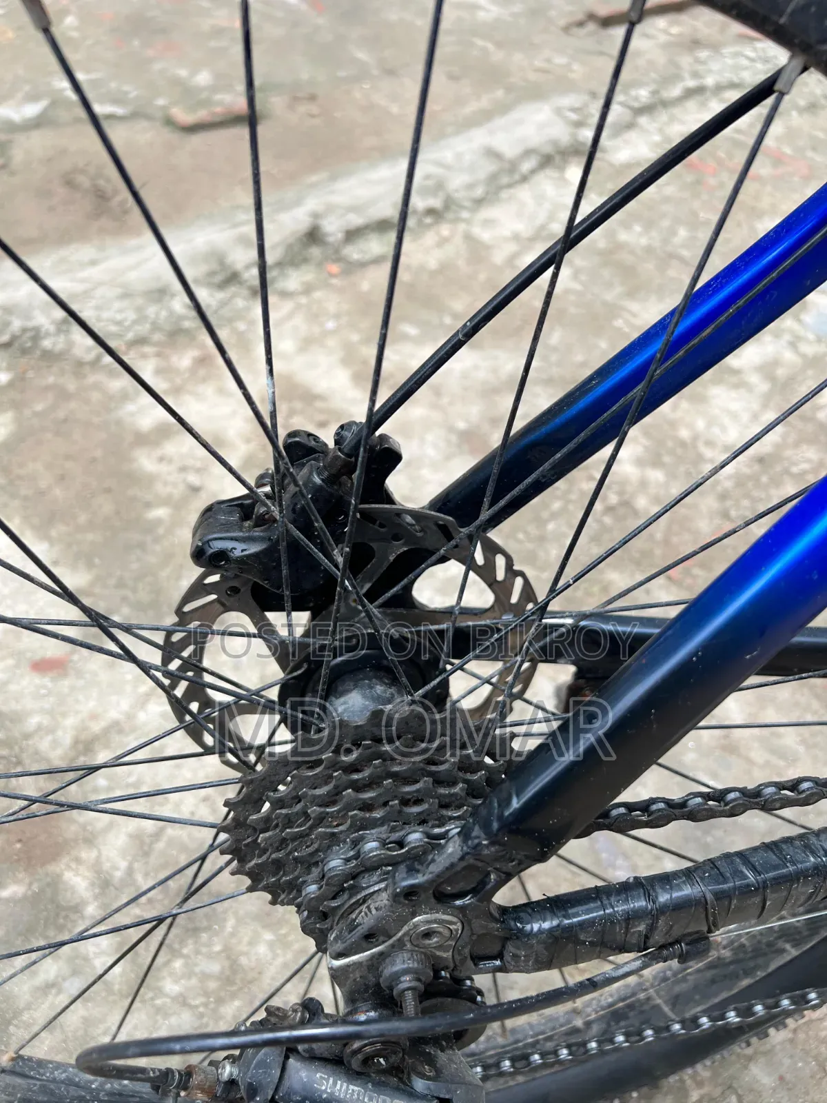 Phoenix Harod 01 Cycle