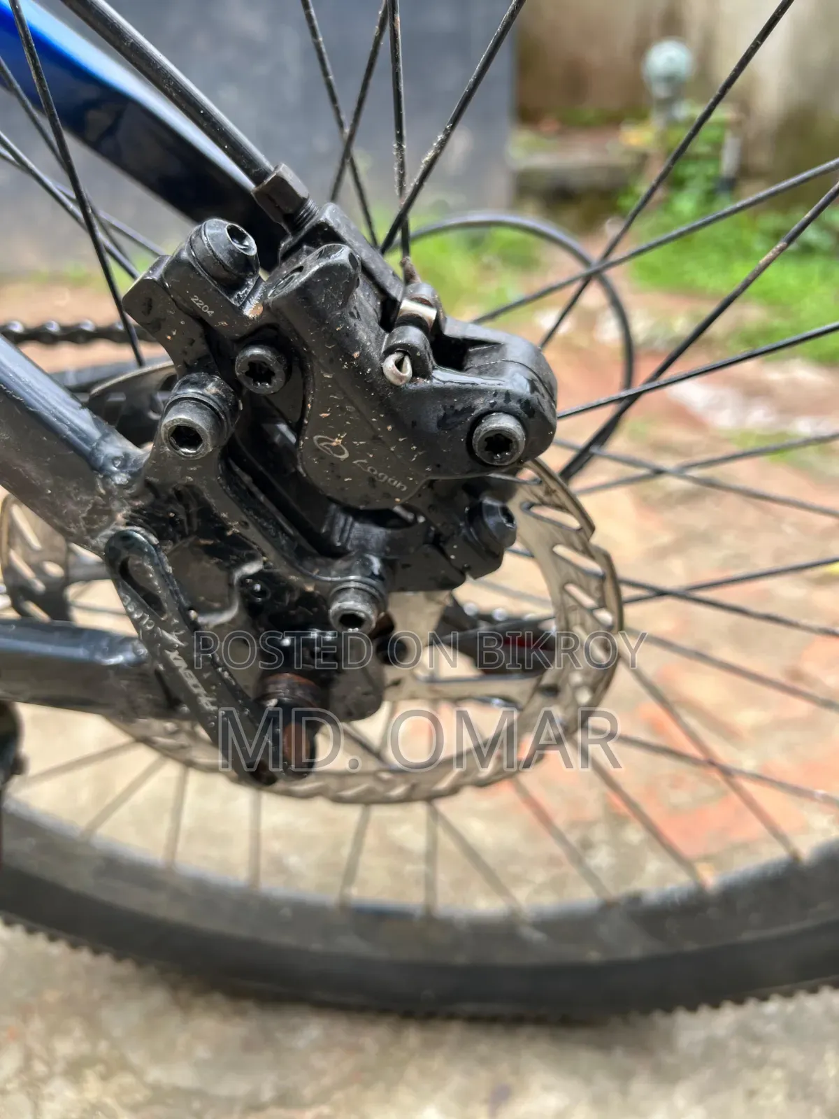 Phoenix Harod 01 Cycle