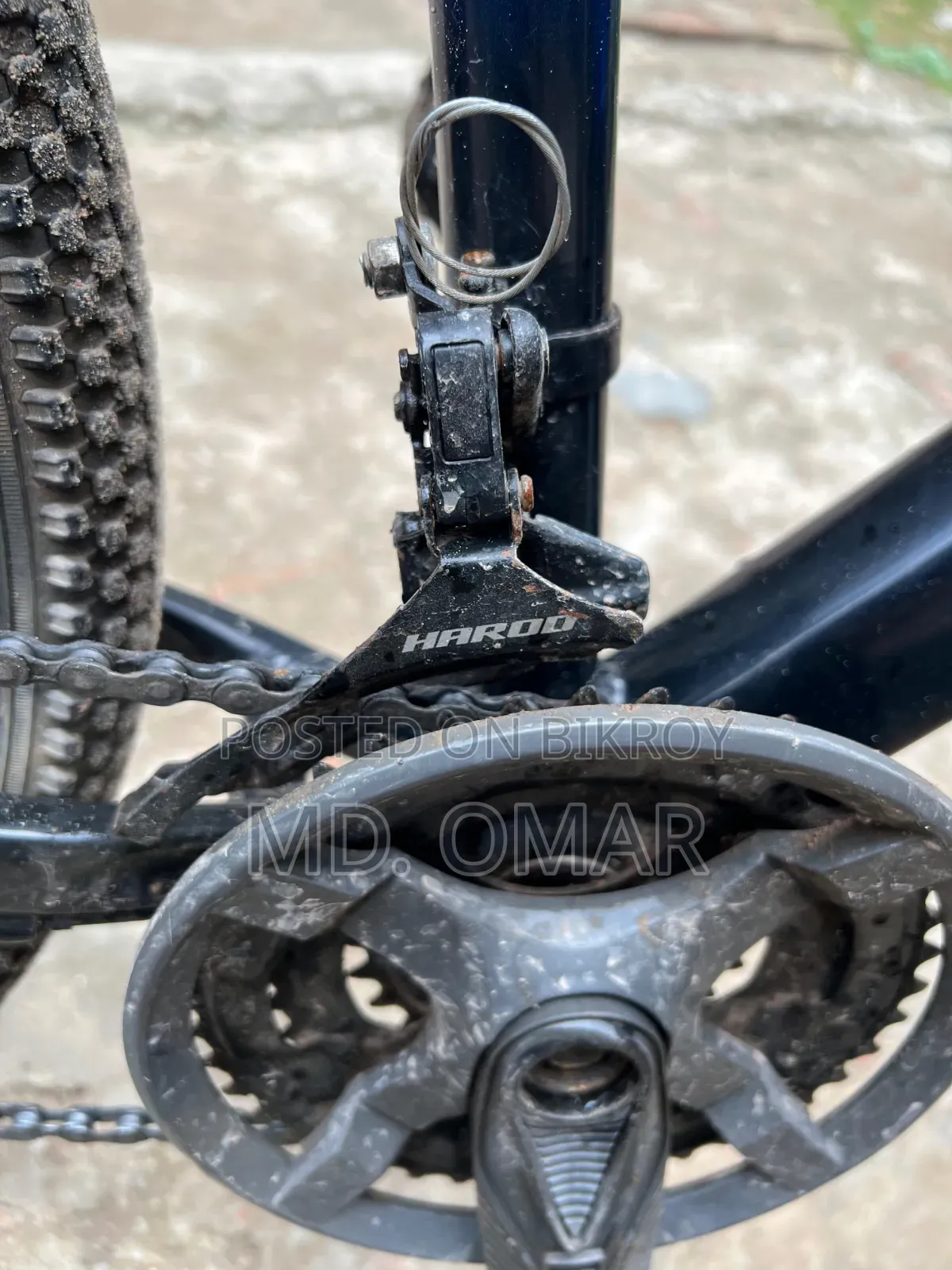 Phoenix Harod 01 Cycle
