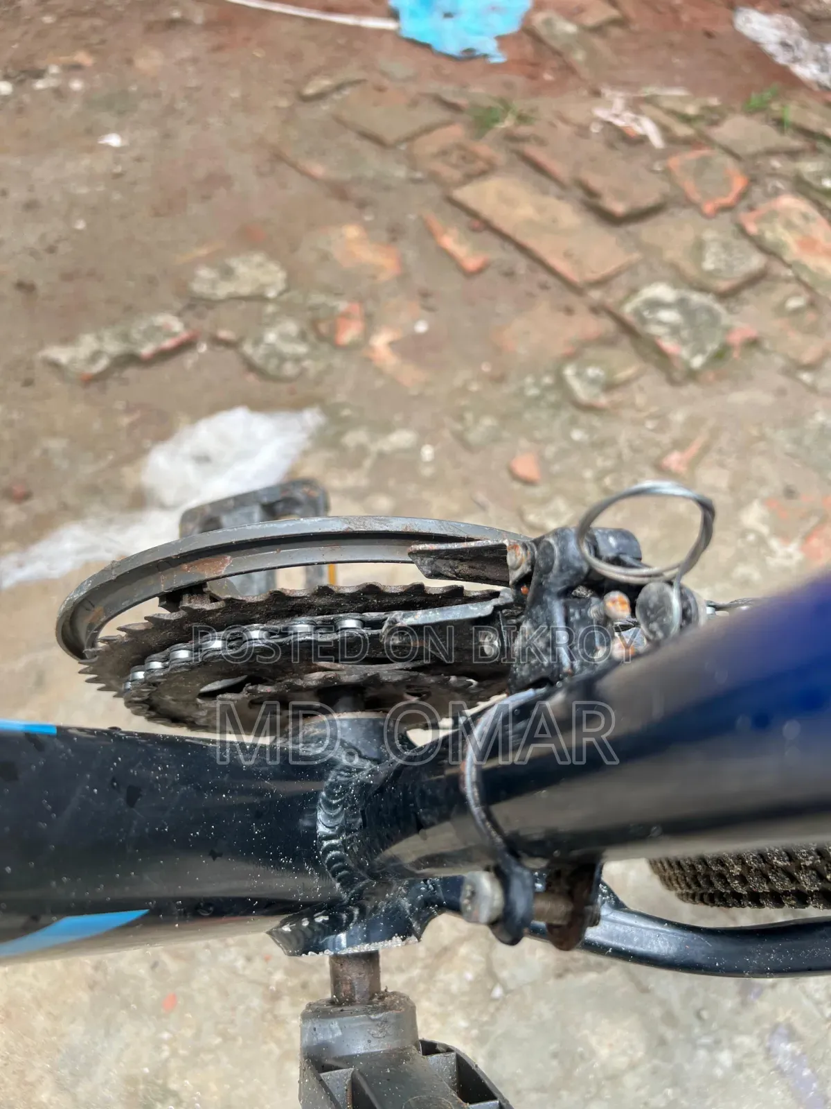 Phoenix Harod 01 Cycle