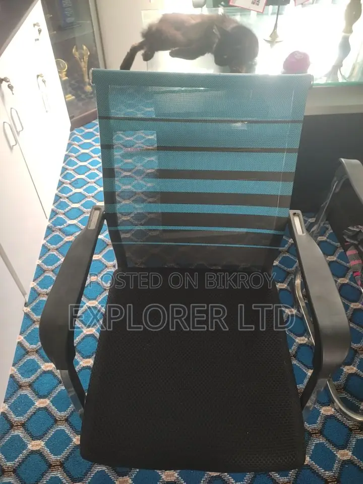 Premium Chair