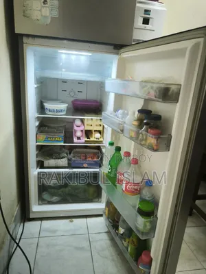 Singer Non-Frost (321L) Fridge