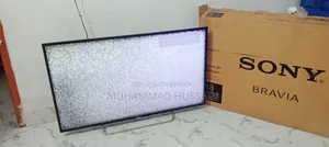Original Sony 48 TV Display Issue