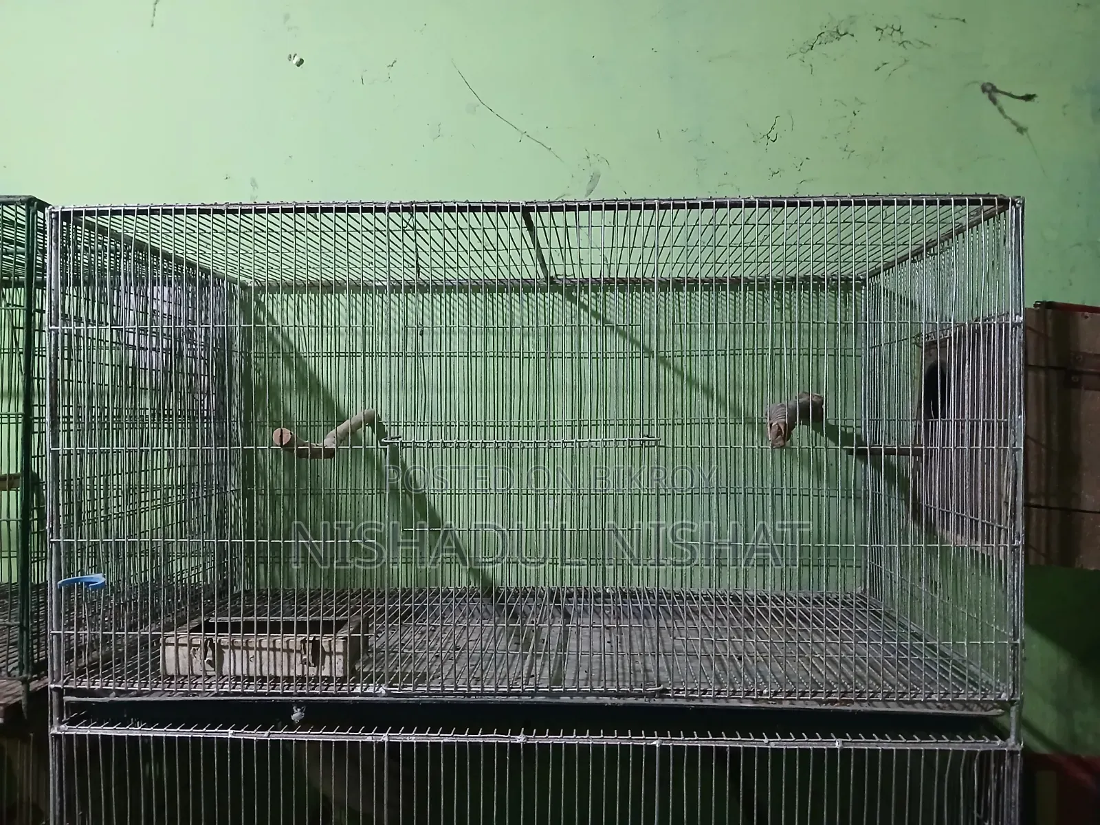 Cage / খাচা
