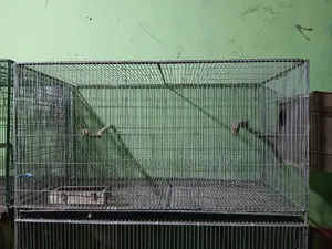 Cage / খাচা