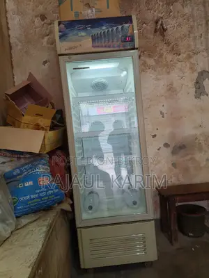 Super Ariston Fridge