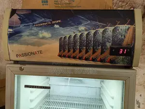 Super Ariston Fridge