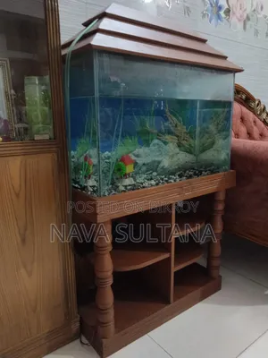 সুন্দর Aquarium বিক্রি হবে বাসা/অফিসের জন্য উপযুক্ত