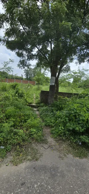 Rajuk Purbachal 3 Katha Government Service Plot