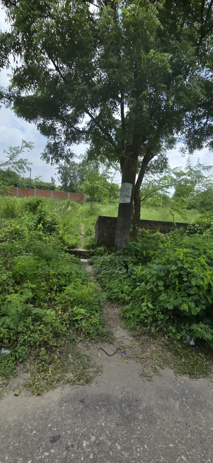 Rajuk Purbachal 3 Katha Government Service Plot