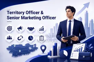 Senior Marketing Officer & Territory Officer