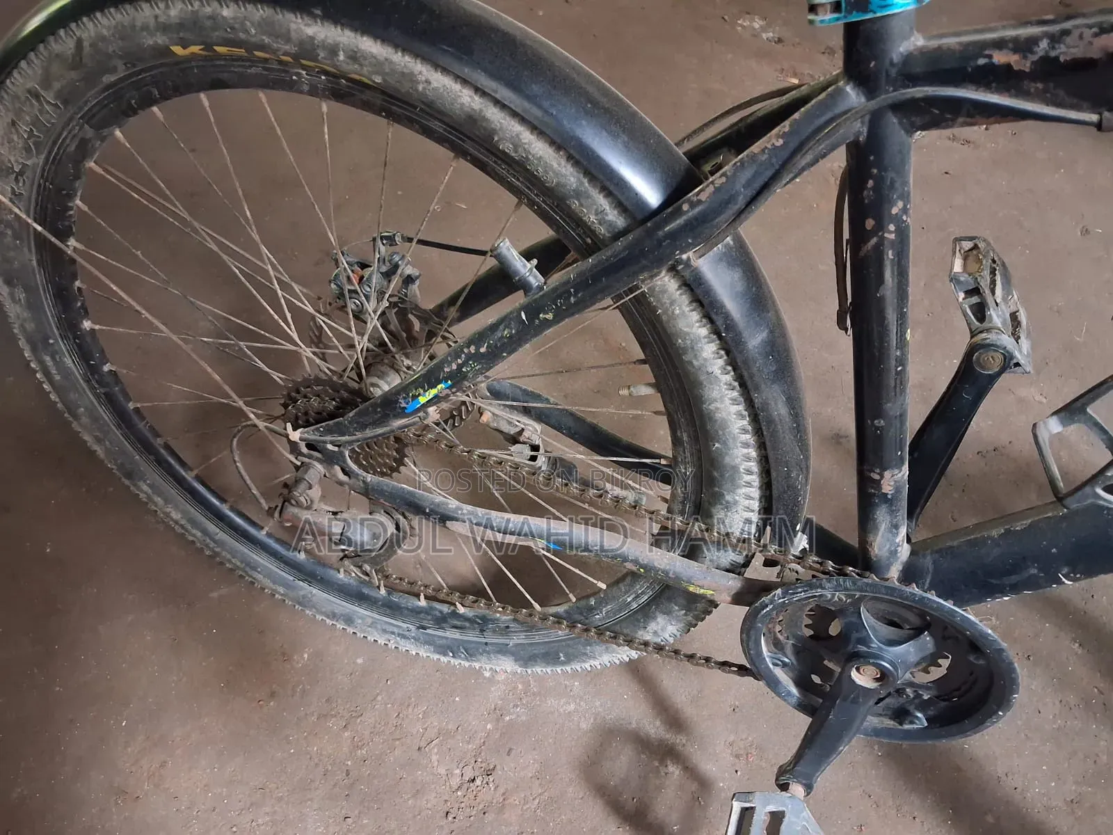 Cycle/Bicycle