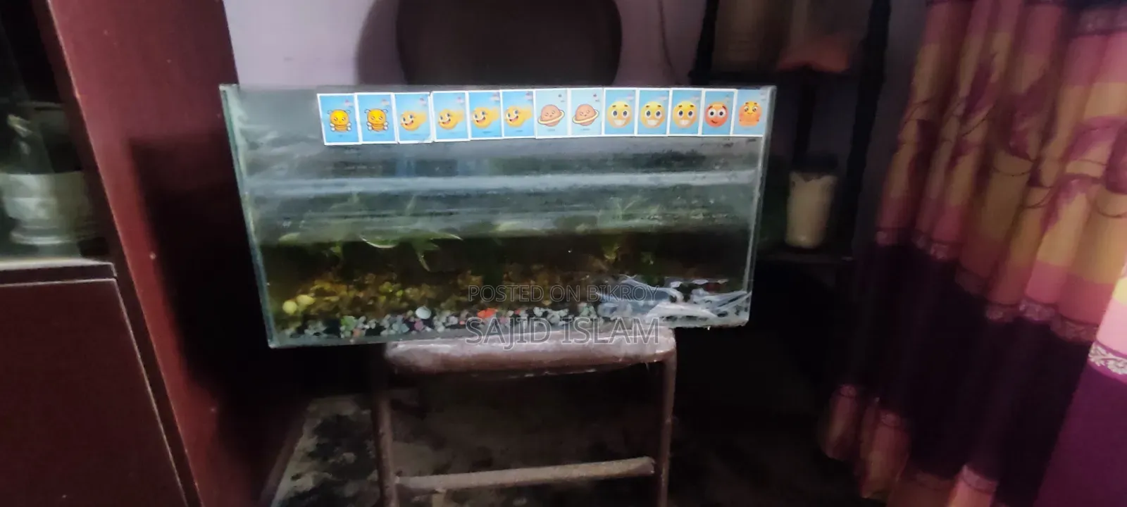 Aquarium(অ্যাকুরিয়াম)
