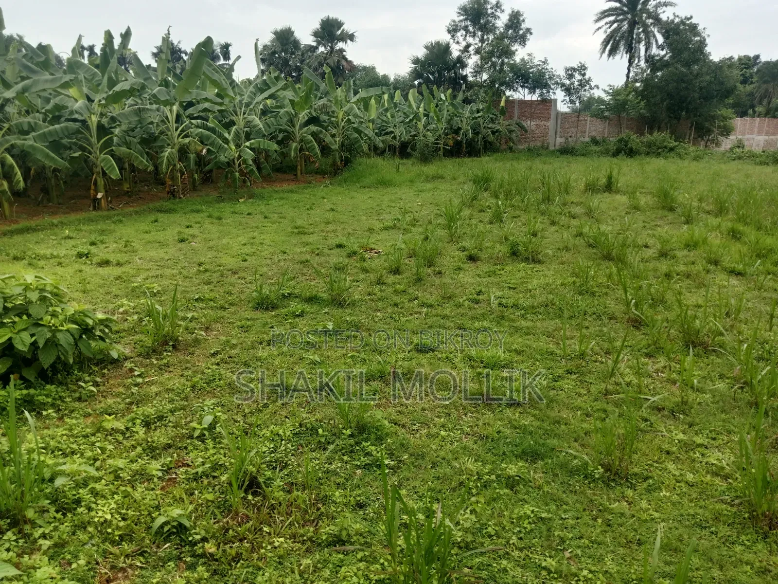 জমি বিক্রয় করা হবে