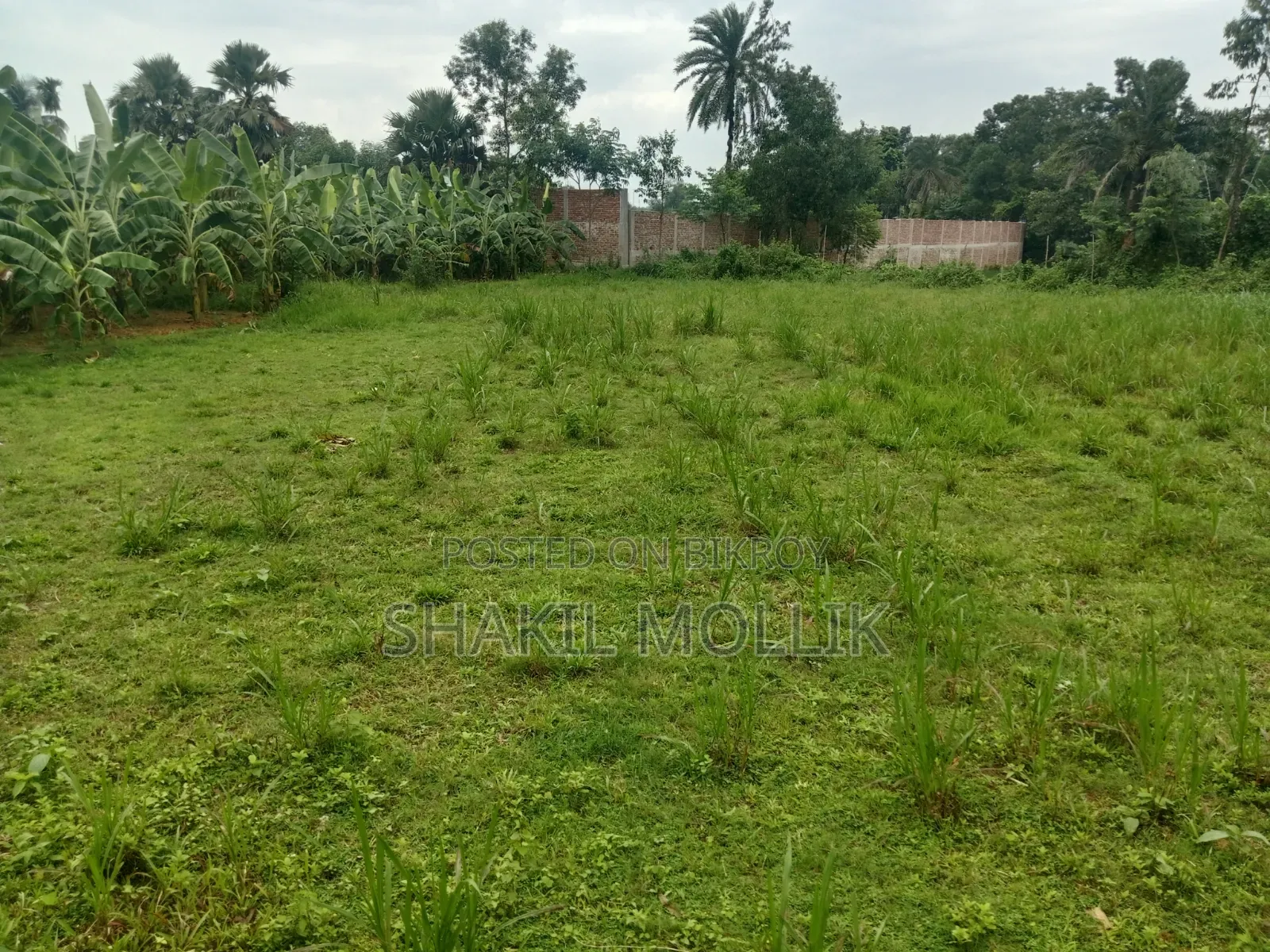 জমি বিক্রয় করা হবে
