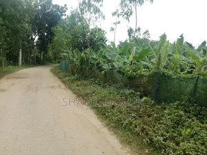 জমি বিক্রয় করা হবে