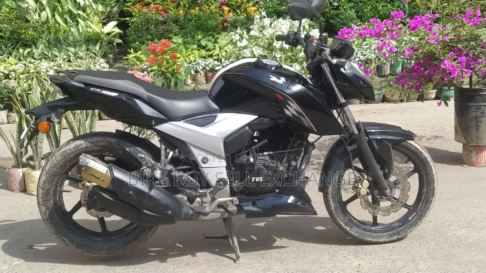 TVS Apache 160 4V 2024 Black