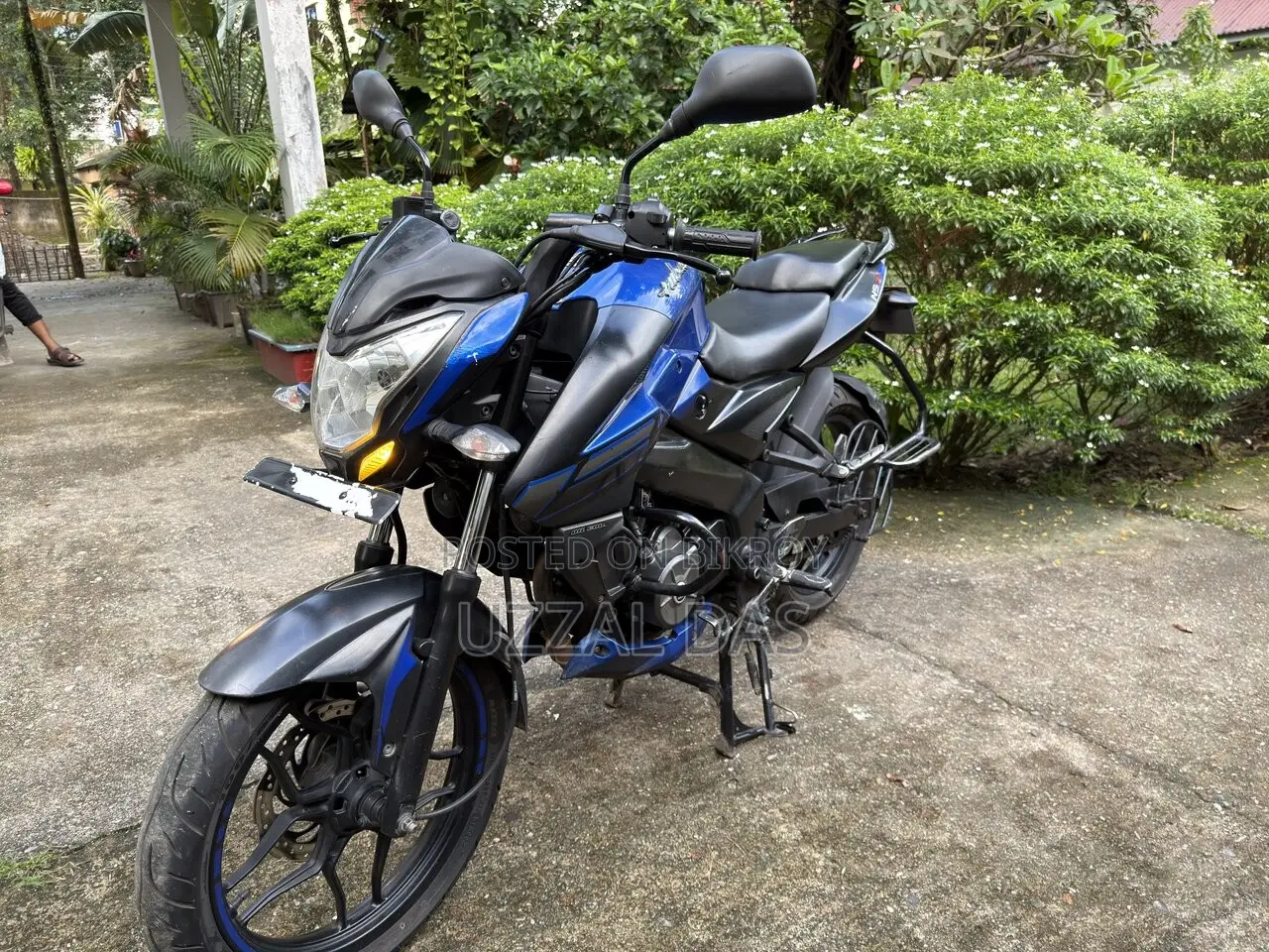 Bajaj Pulsar NS 160 2019 Blue
